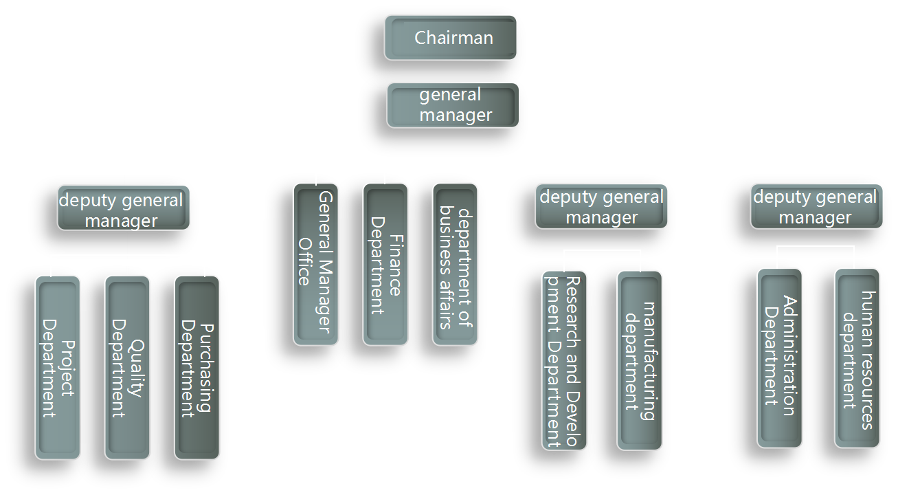 Organizational structure